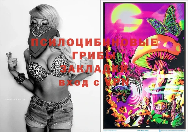 2c-b Баксан