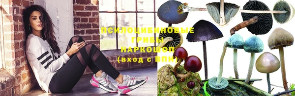 гашик Дедовск