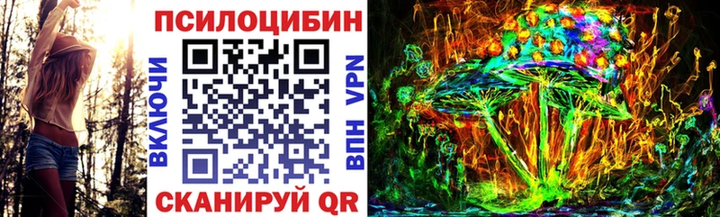 кракен как войти  Мариинский Посад  Галлюциногенные грибы мицелий 